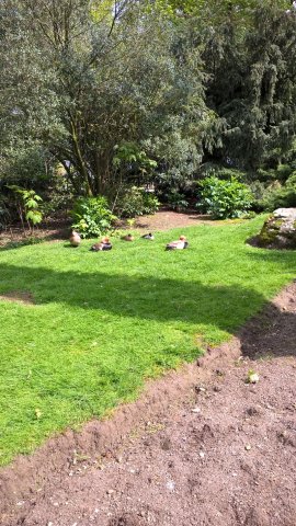 Ludwigsburg-Esslingen